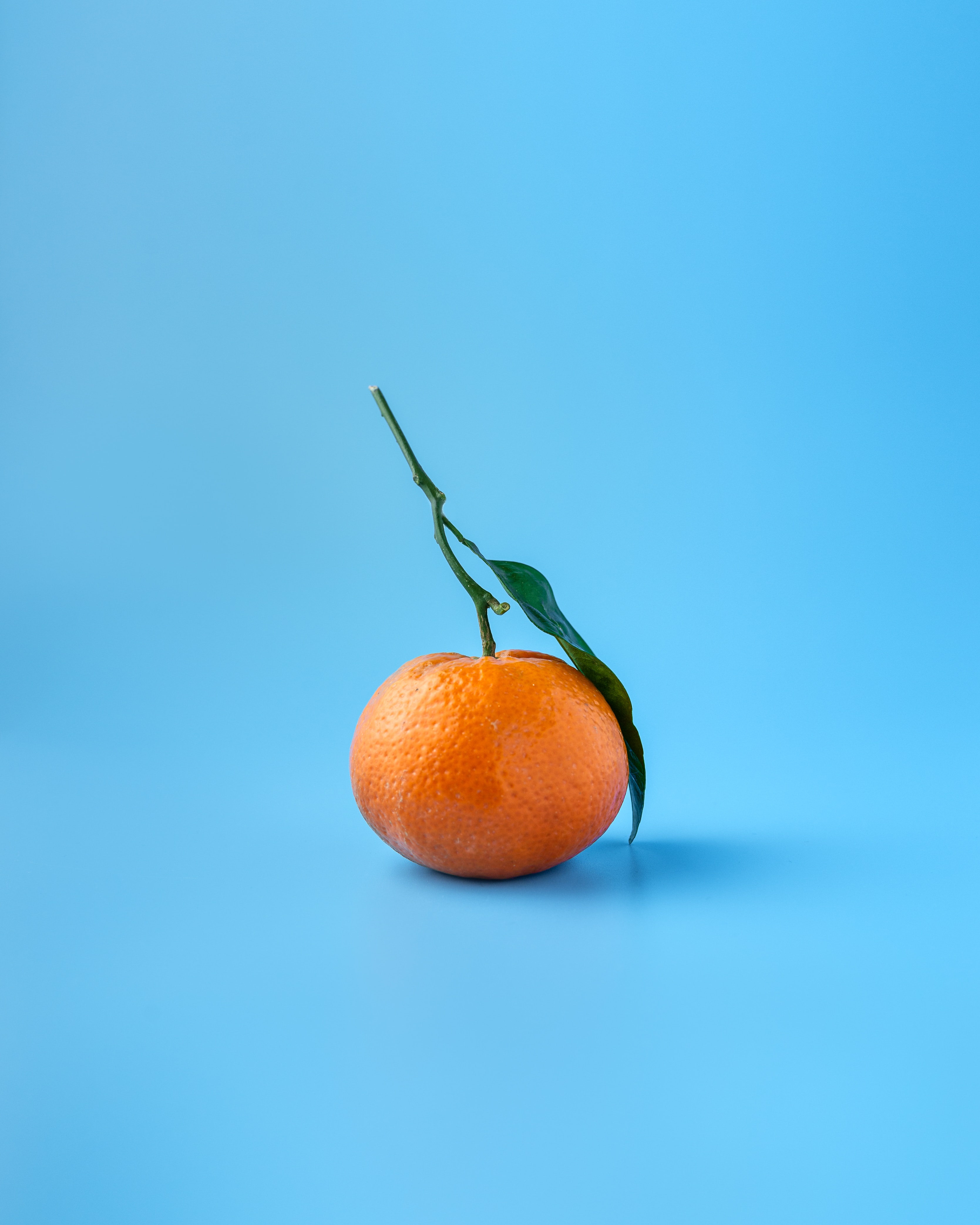 Photo of a Tangerine